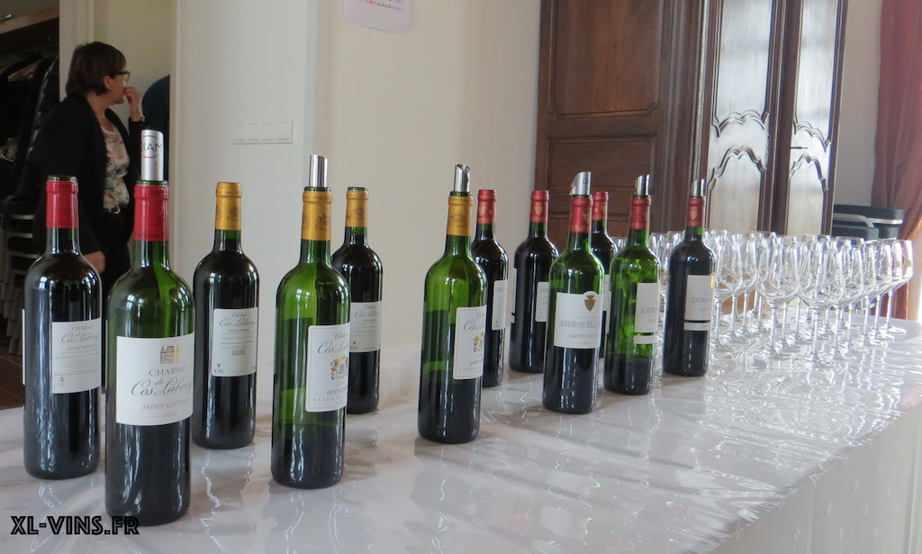 Lire la suite à propos de l’article Printemps des vins dans le médoc 2015: Saint-Estephe
