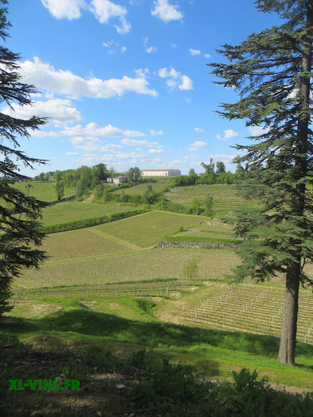 Lire la suite à propos de l’article Portes ouvertes Saint-émilion 2016