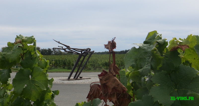 You are currently viewing Château Haut-Selve appellation Graves (Bordeaux)