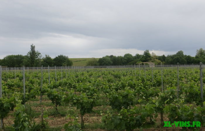 Côtes de Bourg