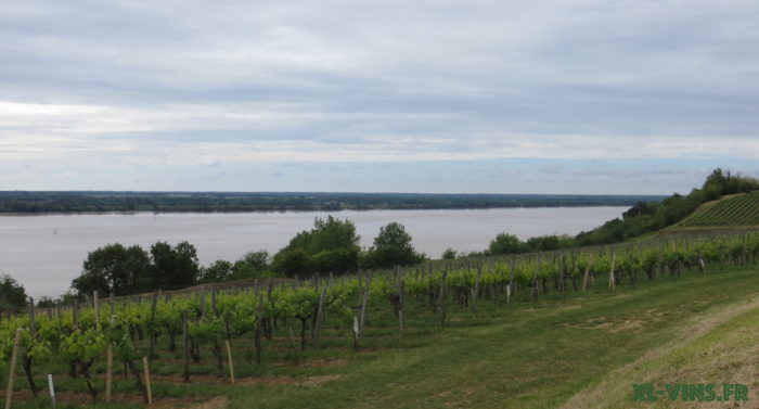 Côtes de Bourg