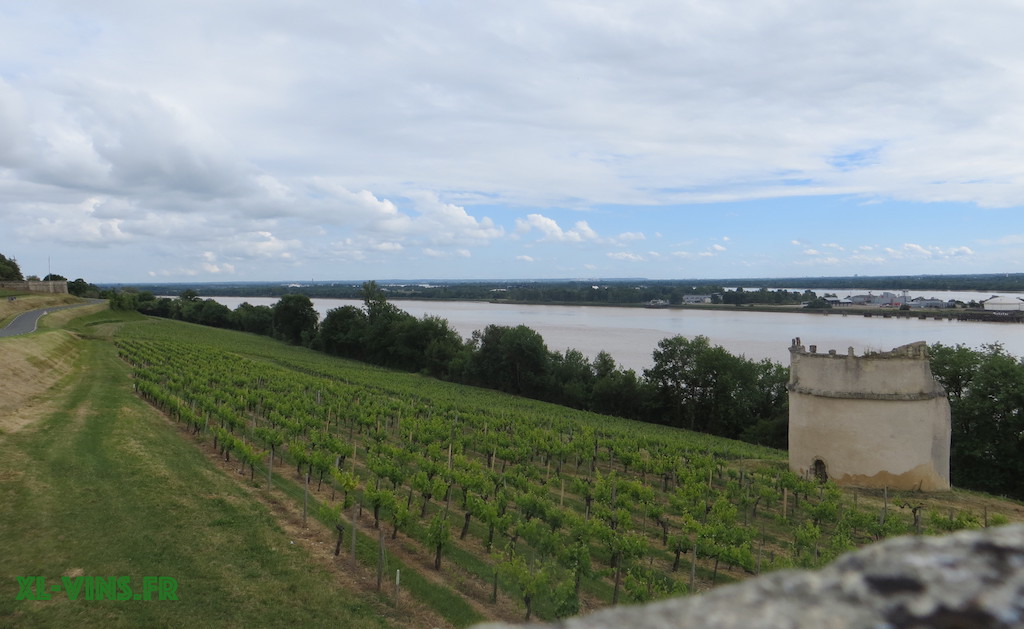 You are currently viewing Portes ouvertes Côtes de Bourg 2017, Bordeaux