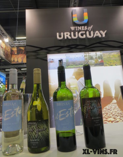 Vins d'Uruguay