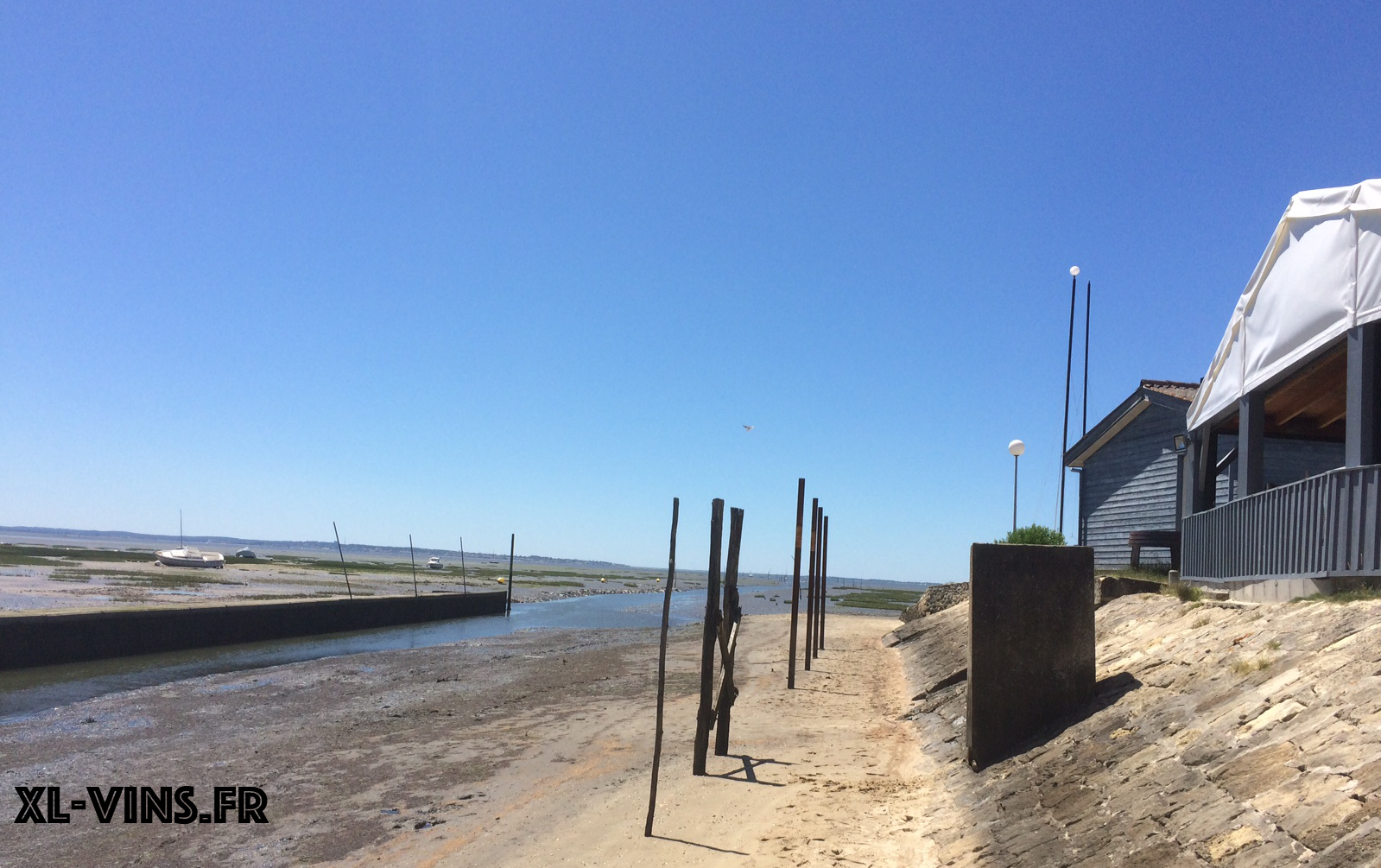 Restaurant Le Platane, Bassin d'Arcachon (Taussat-Lanton), Bordeaux ...