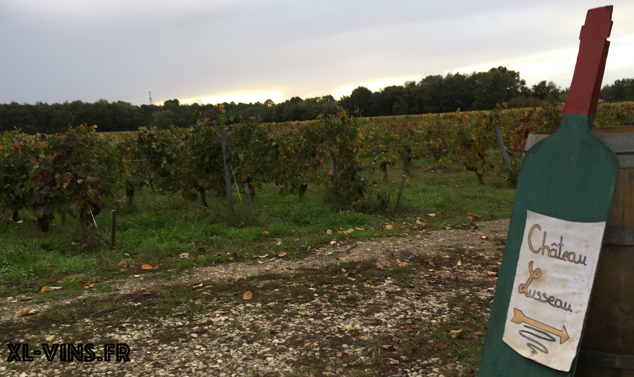 Château Lusseau appellation Graves