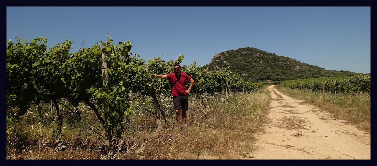 Xavier LACOMBE xlvins blog vin bordeaux 