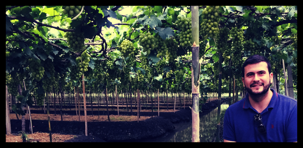 Lacombe burgundy on sale