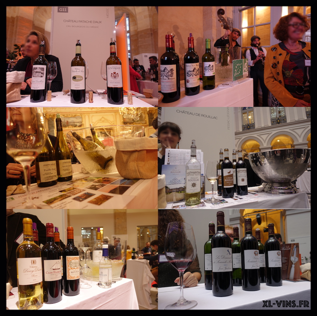 Bordeaux wine tasting 2018