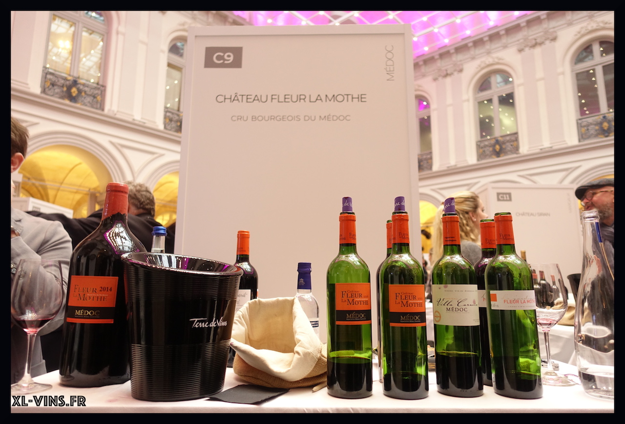 Bordeaux wine tasting 2018