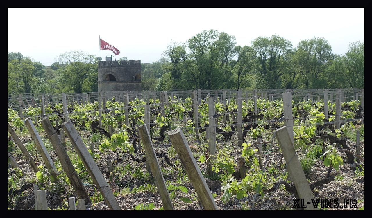 Cos d'estournel flag