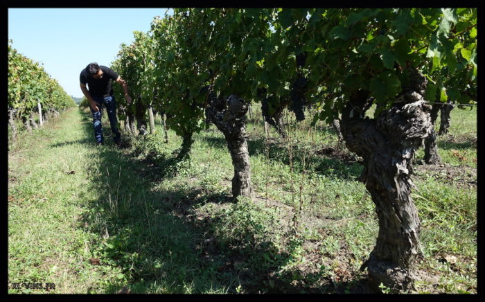 Franck Juggelman. Clavis Orea. Saint-Emilion