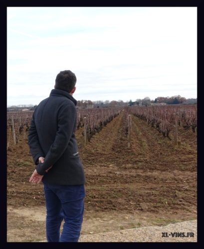 Fabrice DUBOURDIEU. Château Doisy-Daëne, appellation Barsac (Sauternes)