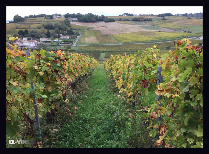 Château Cassagne Haut Canon. Appellation Fronsac