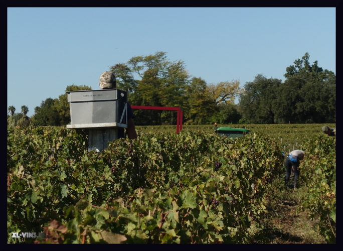 Château Montrose. Appellation Saint-Estèphe