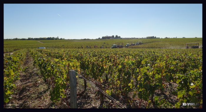 Château Montrose. Appellation Saint-Estèphe