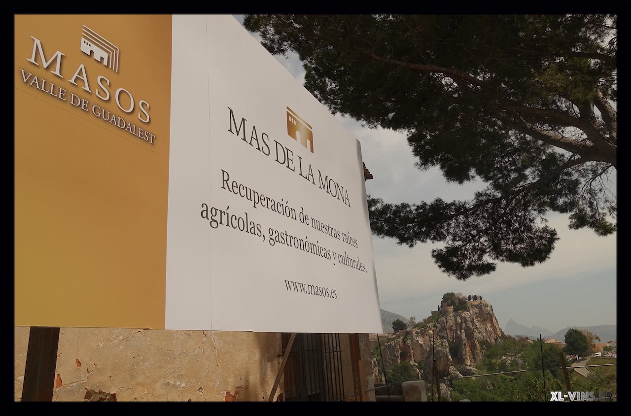 Lire la suite à propos de l’article Création d’un vignoble en Espagne: Mas de la Mona (Guadalest)