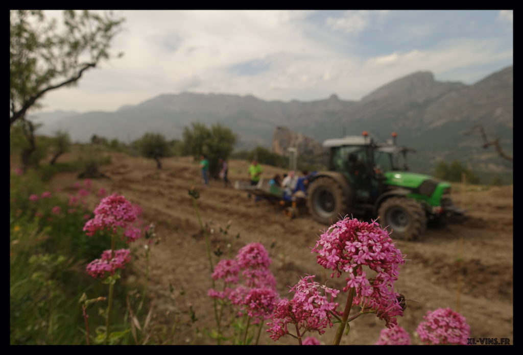 Tractor at Guadalest