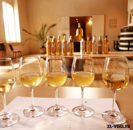 Degustation des Sauternes 2019 à l'aveugle