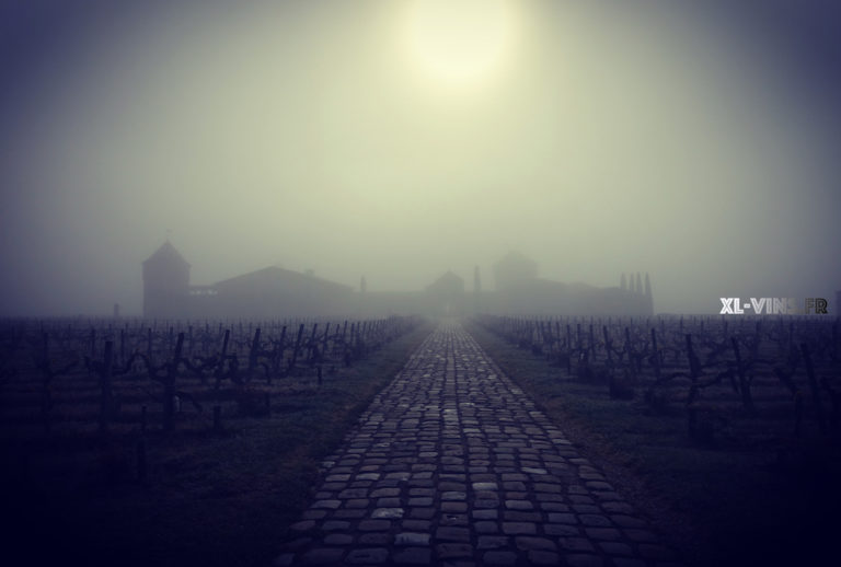 smith haut lafitte vignes 2019