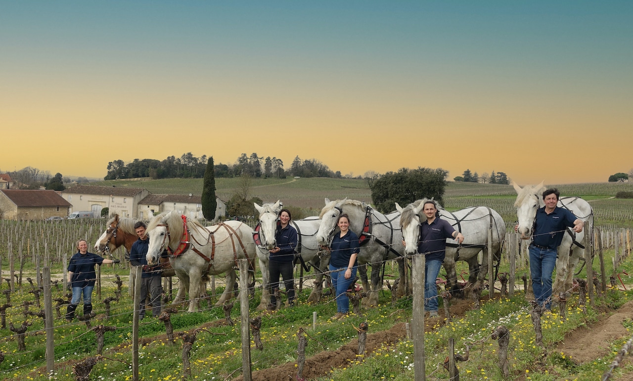 Lire la suite à propos de l’article A cheval dans les vignes avec Cheval des vignes !